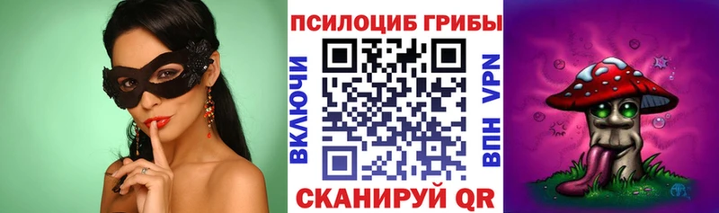 закладки  Заволжье  блэк спрут ССЫЛКА  Псилоцибиновые грибы ЛСД 