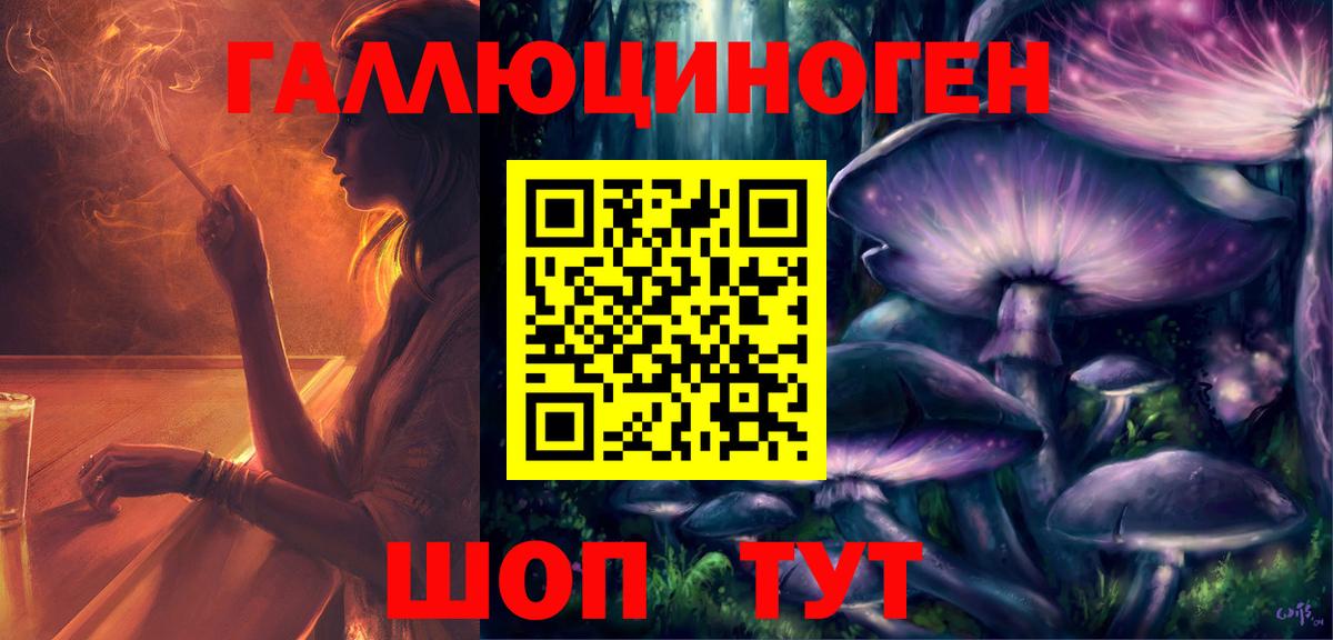 Заволжье  Галлюциногенные грибы Cubensis  Вход с VPN 